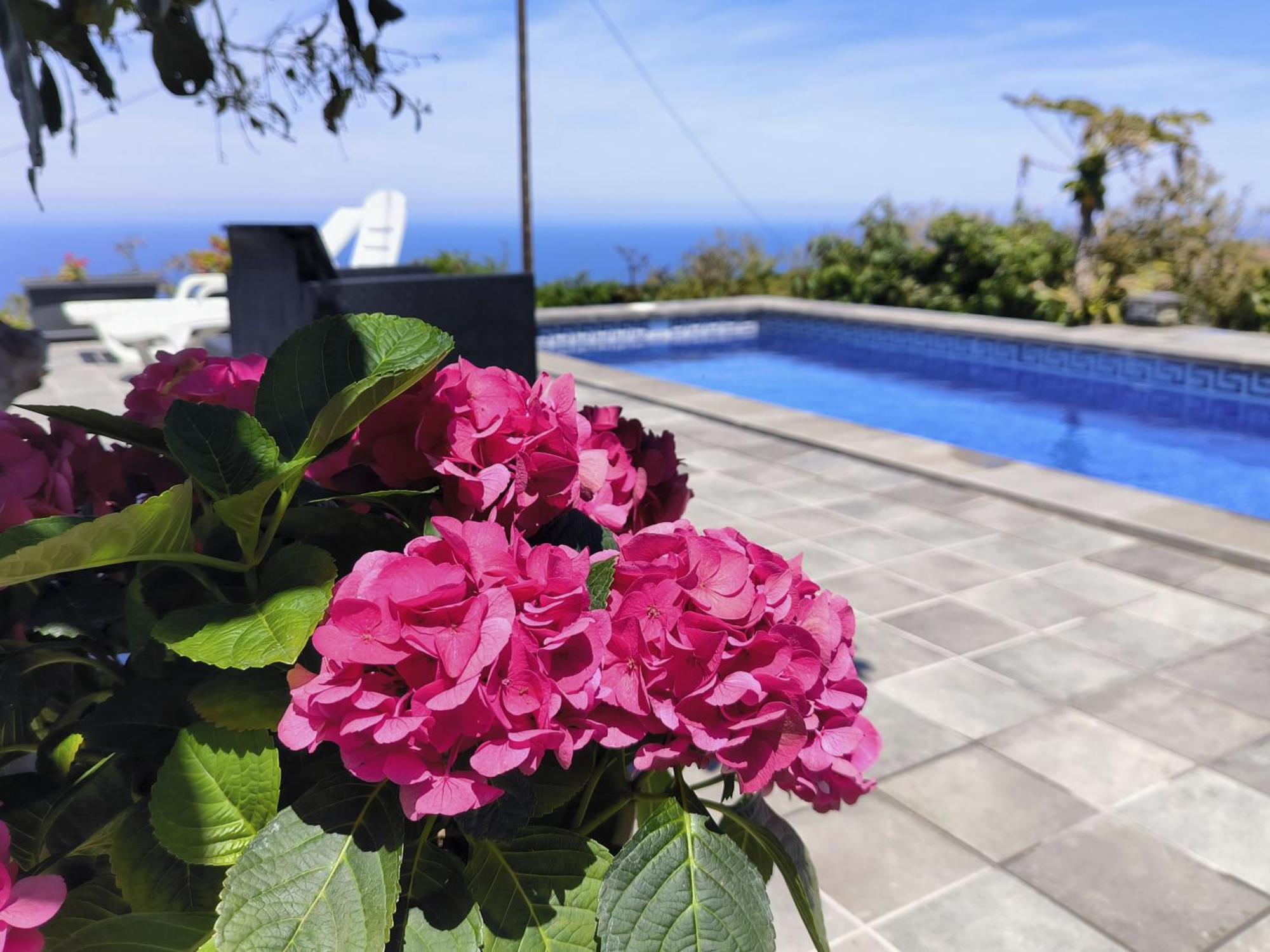 Apartamentos Guayonje Costa 圣克鲁斯-德特内里费 外观 照片