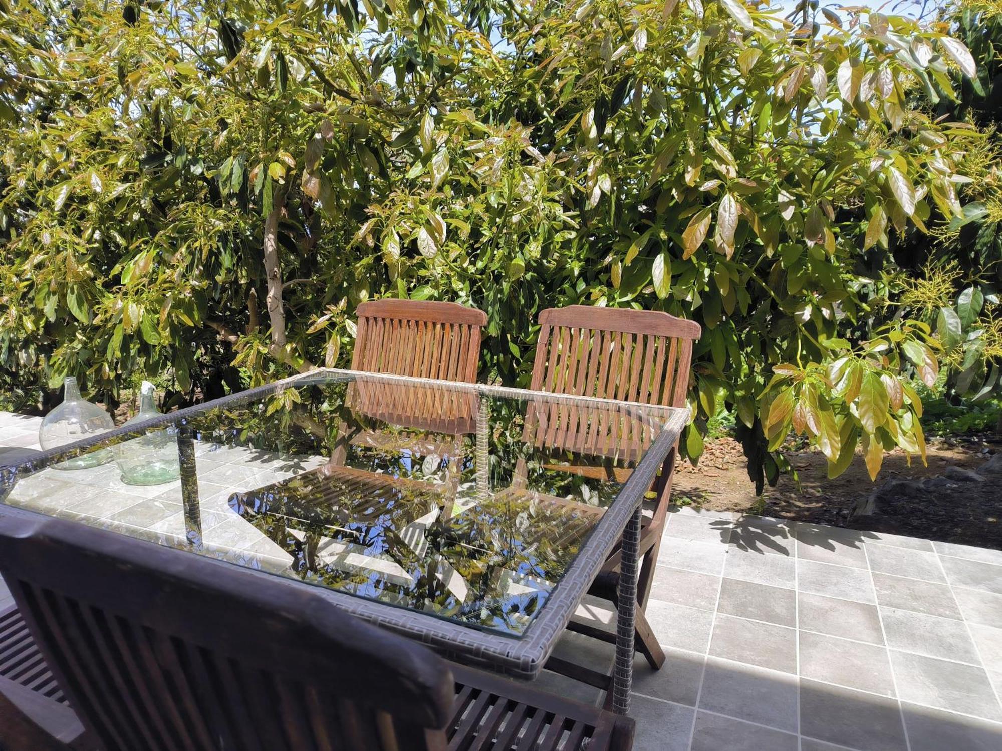 Apartamentos Guayonje Costa 圣克鲁斯-德特内里费 外观 照片